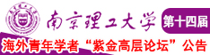 18禁好爽南京理工大学第十四届海外青年学者紫金论坛诚邀海内外英才！